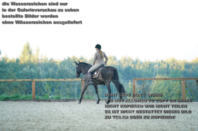 s_K3F09227.JPG